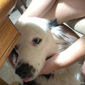 Meet your Posher, Lydia